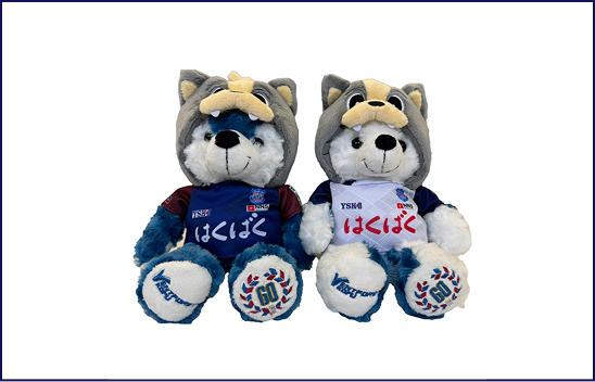 クラブ創設60/30th特設サイト | ヴァンフォーレ甲府 公式サイト