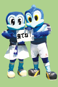 photo photo