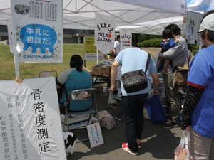 photo photo