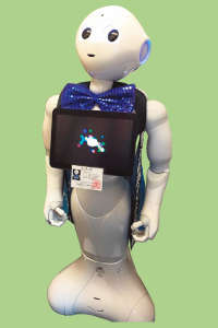 ヴァンフォーレ甲府公式サイト Ventforet Kofu Official Website