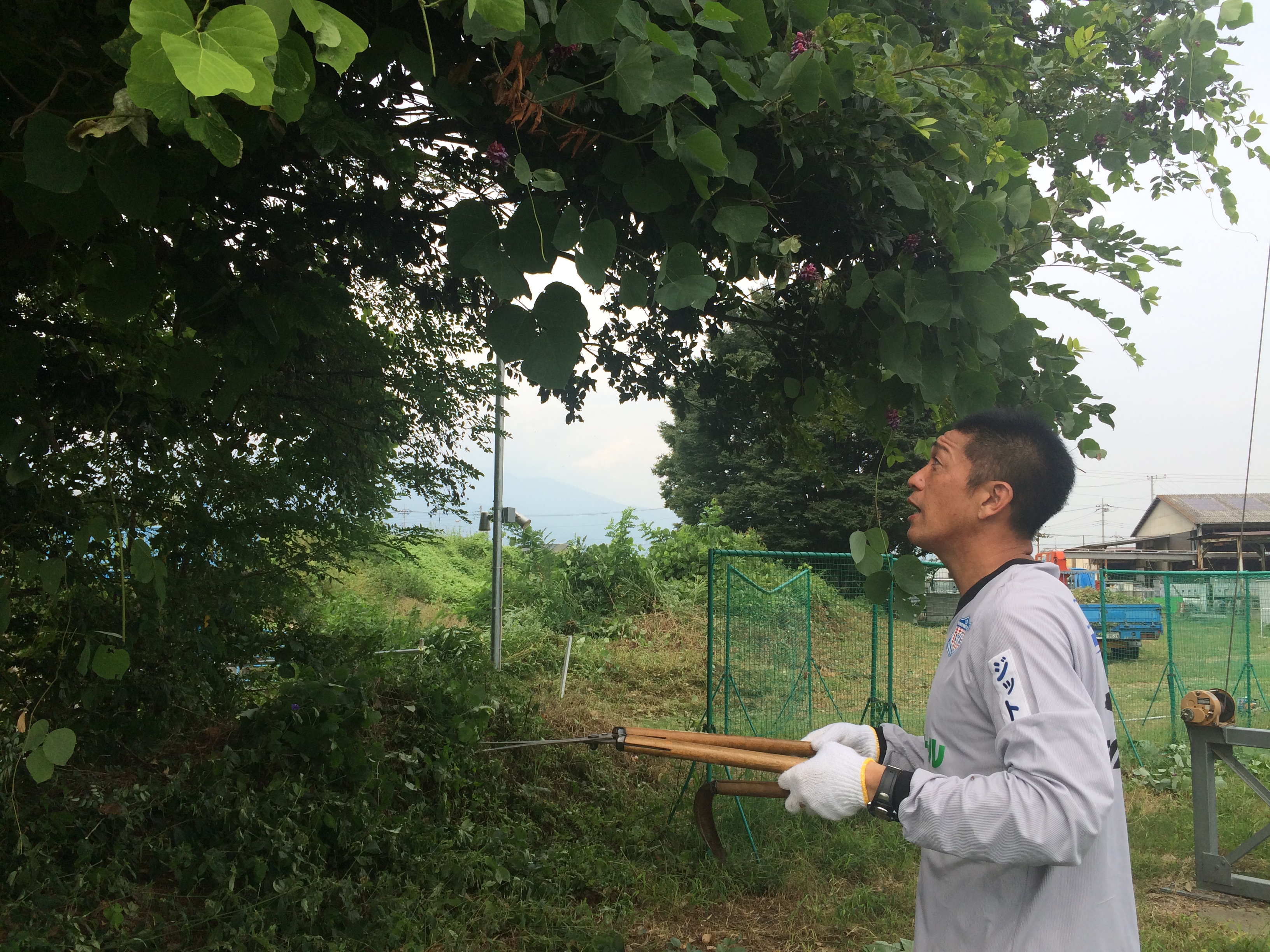 ヴァンフォーレ甲府公式サイト Ventforet Kofu Official Website