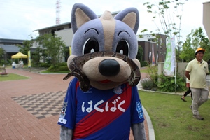 photo photo