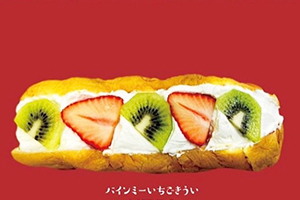 photo photo