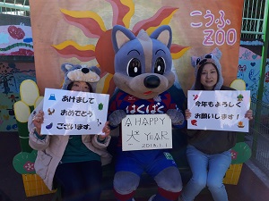 photo photo