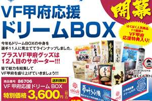 ヴァンフォーレ甲府公式サイト Ventforet Kofu Official Website