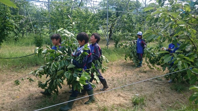 photo