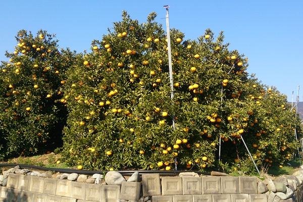 photo photo