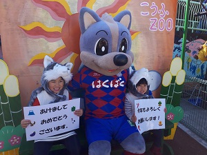 photo photo