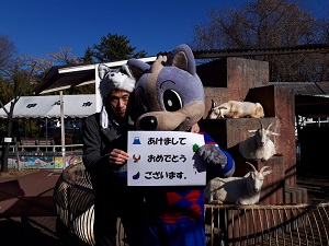 photo photo